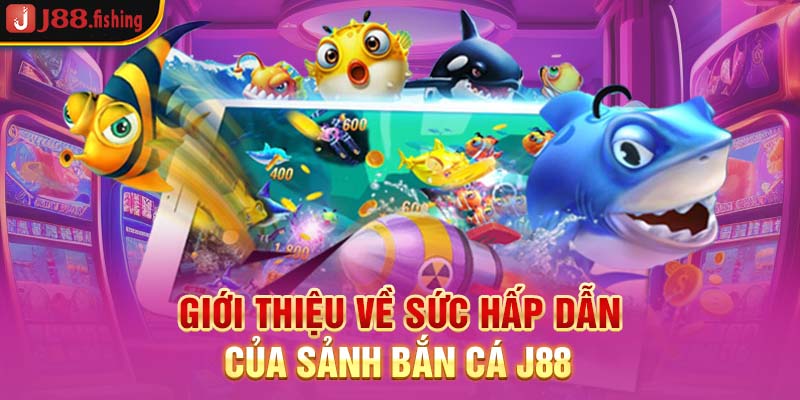 gioi-thieu-ve-suc-hap-dan-cua-sanh-ban-ca-j88