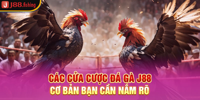 cac-cua-cuoc-da-ga-j88-co-ban-ban-can-nam-ro