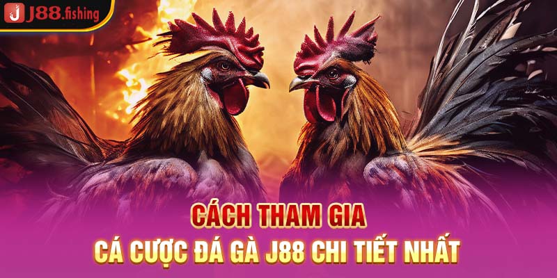 cach-tham-gia-ca-cuoc-da-ga-j88-chi-tiet-nhat